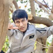  ,   Jahongir, 30 ,     , c 