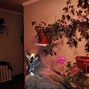  ,   , 59 ,   