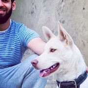 ���������� ���������, ���� ������� � � � �, 37 ���, ������������ ��� ������, ����� � ���������