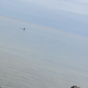 ���������� �������, ���� ������� ��������, 63 ����, ������������ ��� ������, ����� � ���������, c�������� ���������