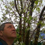  ,   Dbrnjh, 60 ,   