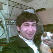  ,   Kozim, 40 ,  
