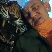  ,   , 43 ,  