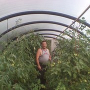  ,   , 65 ,   