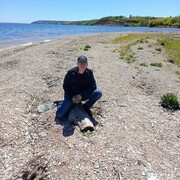 ���������� ������, ���� ������� �����, 44 ����, ������������ ��� ����� � ���������, c�������� ���������