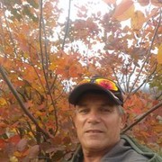  ,   , 62 ,   