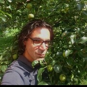 ���������� ������, ���� ������� Mangol, 36 ���, ������������ ��� ������, ����� � ���������