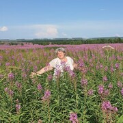 ���������� ����������, ���� ������� �������, 45 ���, ������������ ��� ����� � ���������, c�������� ���������