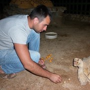 ���������� �������, ���� ������� �����, 40 ���, ������������ ��� ������, ����� � ���������, c�������� ���������