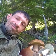 ���������� �����-���������, ���� ������� ������, 43 ����, ������������ ��� ����� � ���������, c�������� ���������