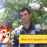  ,  , 43