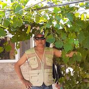  ,   , 59 ,   c , 