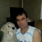  ,    , 44 ,   ,   