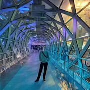 ���������� ������, ���� ����� ����, 19 ���, ������������ ��� ������, ����� � ���������