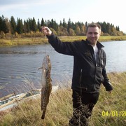 ���������� ������������, ���� ������� ������, 45 ���, ������������ ��� ����� � ���������, c�������� ���������