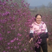  --,   , 43 ,   ,   , 