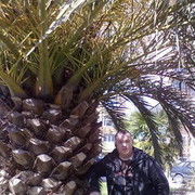 ���������� ������, ���� ������� ����, 42 ����, ������������ ��� ����� � ���������, c�������� ���������