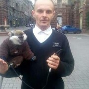 ���������� ����, ���� ������� ����, 36 ���, ������������ ��� ������, ����� � ���������