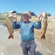  ,   , 48 ,   ,   , c , 