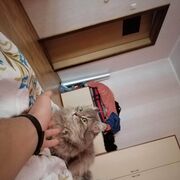  ,   , 29 ,   ,   , c 