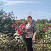 ���������� �������, ���� ������� ������, 65 ���, ������������ ��� ����� � ���������, c�������� ���������