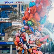  Alanya,   Deniz, 40 ,   ,   