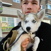 ���������� �����, ���� ������� ���������, 27 ���, ������������ ��� ������, ����� � ���������, c�������� ���������