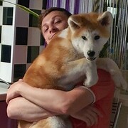 ���������� ������, ���� ������� ����, 27 ���, ������������ ��� ������, ����� � ���������, c�������� ���������