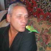 ���������� ����, ���� ������� ��������, 68 ���, ������������ ��� ������