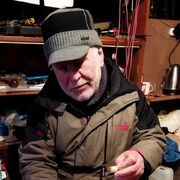 ����������.