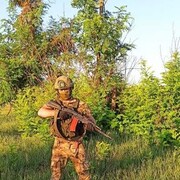 ���������� ������, ���� ������� �����, 36 ���, ������������ ��� ������, ����� � ���������