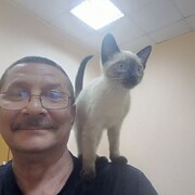  ,   , 59 ,  