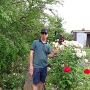 ���������� ���������, ���� ������� Sabeeh, 39 ���, ������������ ��� ������, ����� � ���������, c�������� ���������, ���������