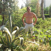  ,   , 51 ,   