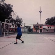 ���������� �� ��������, ���� ����� Alfonso, 25 ���, ������������ ��� ������, ����� � ���������