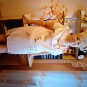 ���������� �����, ���� ������� ����, 64 ����, ������������ ��� ������, ����� � ���������, c�������� ���������