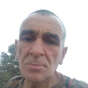  ,   Rybo  , 59 ,   c 
