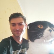 ���������� ����, ���� ������� �������, 40 ���, ������������ ��� ������, ����� � ���������, c�������� ���������, ���������