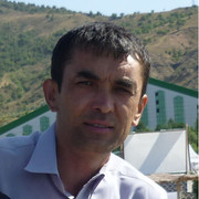  ,  camel, 53