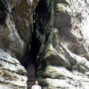 ���������� �����, ���� ������� Puma, 41 ���, ������������ 