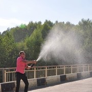 ���������� �����������-��-�����, ���� ������� ������, 33 ����, ������������ ��� ������