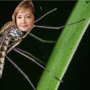 ���������� ������, ������ �����, 18