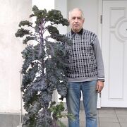 ���������� ����, ���� ������� ������, 75 ���, ������������ ��� ����� � ���������, c�������� ���������