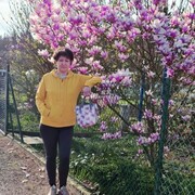  ,   , 53 ,     , c 
