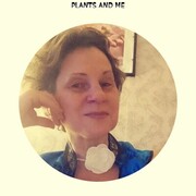  ,   , 47 ,   