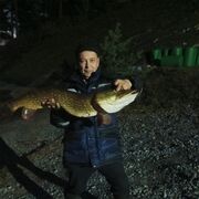  ,   , 46 ,   ,   , c 