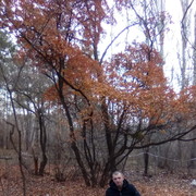 ���������� ���������, ���� ������� MAX, 44 ����, ������������ ��� ������, ����� � ���������, c�������� ���������