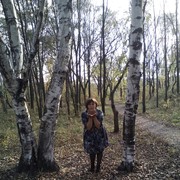 ���������� �����������, ���� ������� �����, 43 ����, ������������ ��� ����� � ���������, c�������� ���������