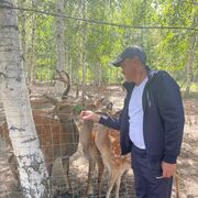 ���������� ����-�����������, ���� ������� ��������, 44 ����, ������������ ��� ������, ����� � ���������