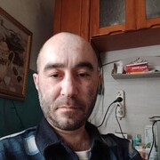  ,  , 43